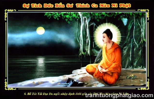 Lịch Sử Phật Thích Ca Mâu Ni Phật (439)
